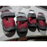 Zapatilla todo terreno, Perrito