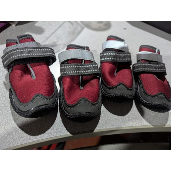 Zapatilla todo terreno, Perrito