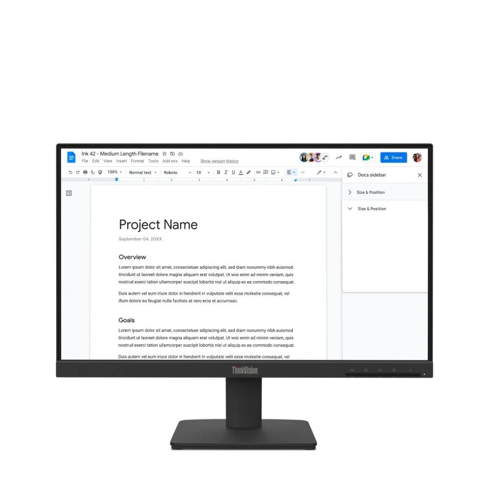 Lenovo ThinkVision S22-4e - Monitor Full HD de 21.5" IPS 100Hz
