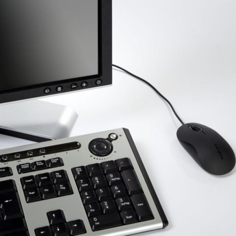 Targus Ratón Óptico USB de 3 Botones con Diseño Ergonómico - Imagen 2