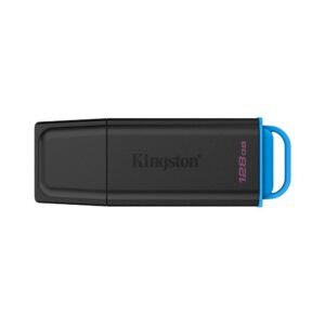 Kingston - USB flash drive - USB 3.2 Gen 1 - DataTraveler Black/Blue