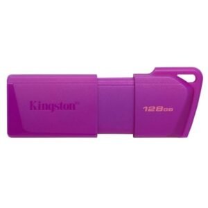 Kingston - USB flash drive - USB 3.2 Gen 2 - DTXM - NEON (Purple)